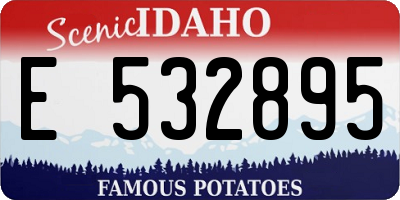 ID license plate E532895