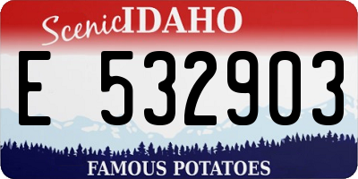 ID license plate E532903