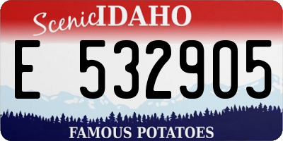 ID license plate E532905