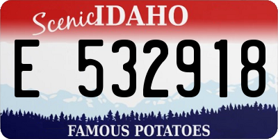 ID license plate E532918