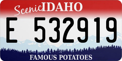 ID license plate E532919