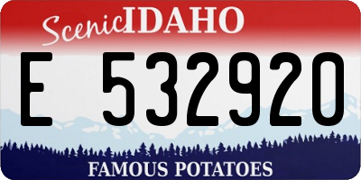 ID license plate E532920