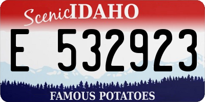 ID license plate E532923