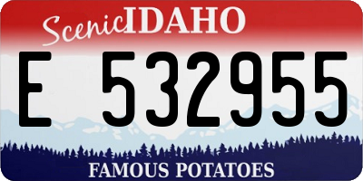 ID license plate E532955