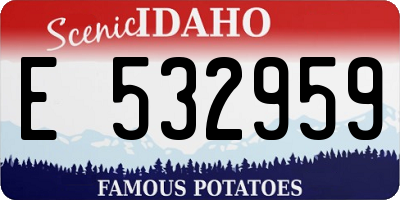 ID license plate E532959