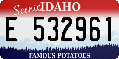 ID license plate E532961