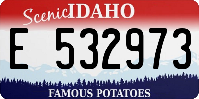 ID license plate E532973