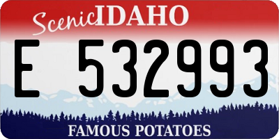 ID license plate E532993