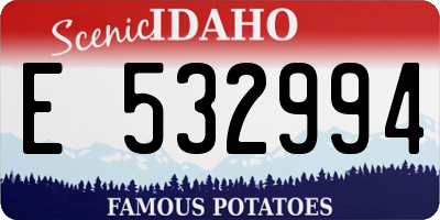 ID license plate E532994