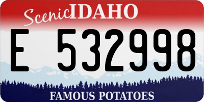 ID license plate E532998