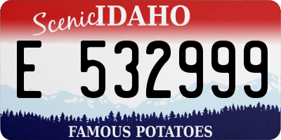 ID license plate E532999