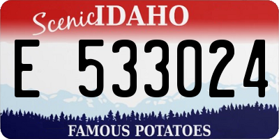 ID license plate E533024