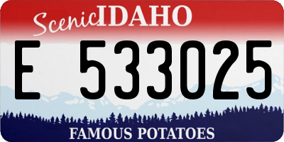 ID license plate E533025