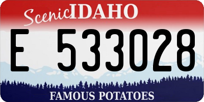 ID license plate E533028