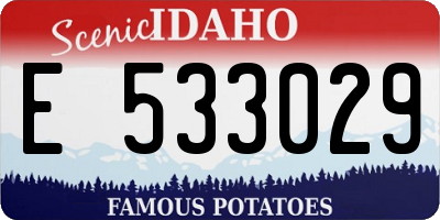 ID license plate E533029