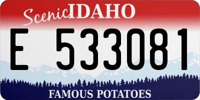 ID license plate E533081