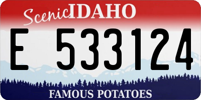 ID license plate E533124