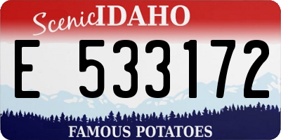 ID license plate E533172