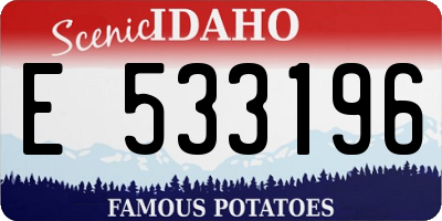 ID license plate E533196