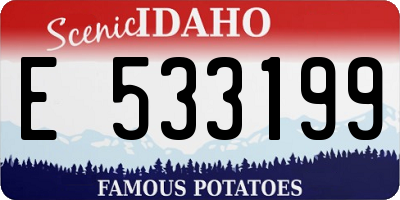 ID license plate E533199