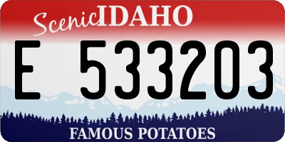 ID license plate E533203