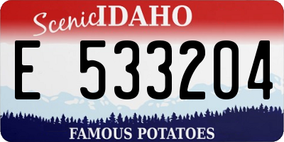 ID license plate E533204