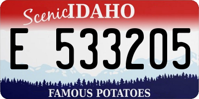 ID license plate E533205