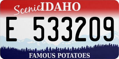 ID license plate E533209