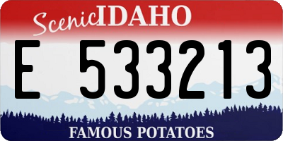 ID license plate E533213
