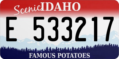 ID license plate E533217