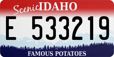 ID license plate E533219