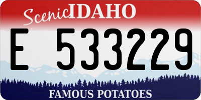 ID license plate E533229