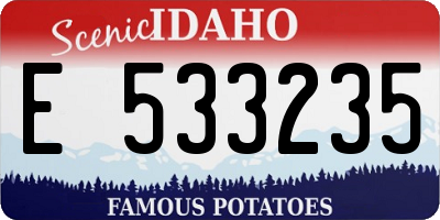 ID license plate E533235