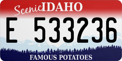 ID license plate E533236