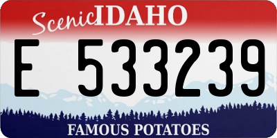ID license plate E533239