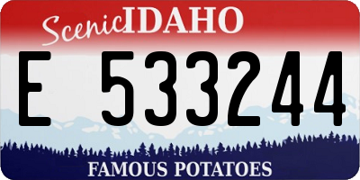 ID license plate E533244