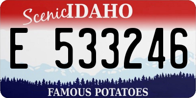 ID license plate E533246