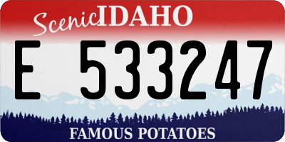 ID license plate E533247