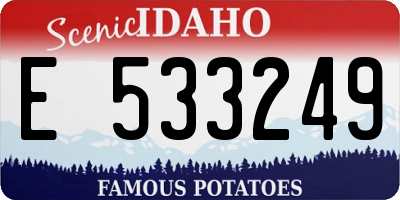 ID license plate E533249