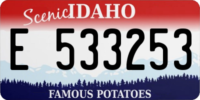ID license plate E533253