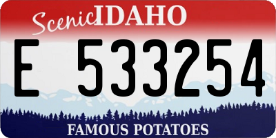 ID license plate E533254