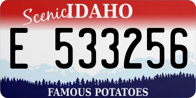 ID license plate E533256