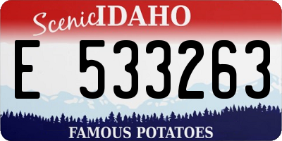 ID license plate E533263