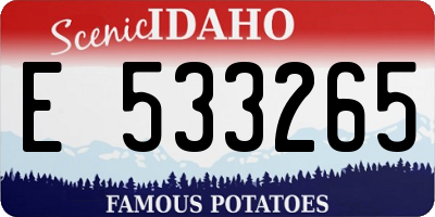 ID license plate E533265