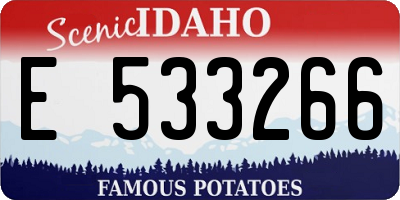 ID license plate E533266