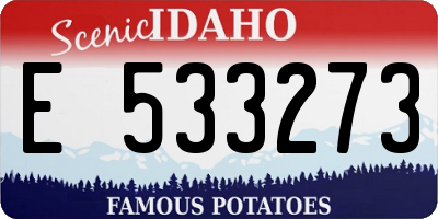 ID license plate E533273