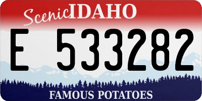 ID license plate E533282