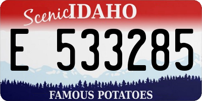 ID license plate E533285
