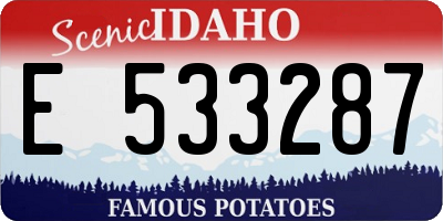 ID license plate E533287