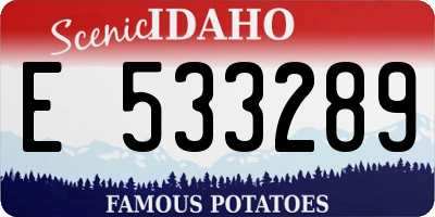ID license plate E533289